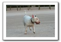 IMG_0413