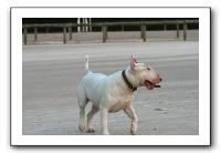 IMG_0414