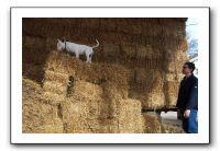 akha-05-03-07-37