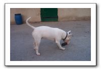 akha-05-03-07-27