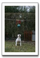 IMG_2797