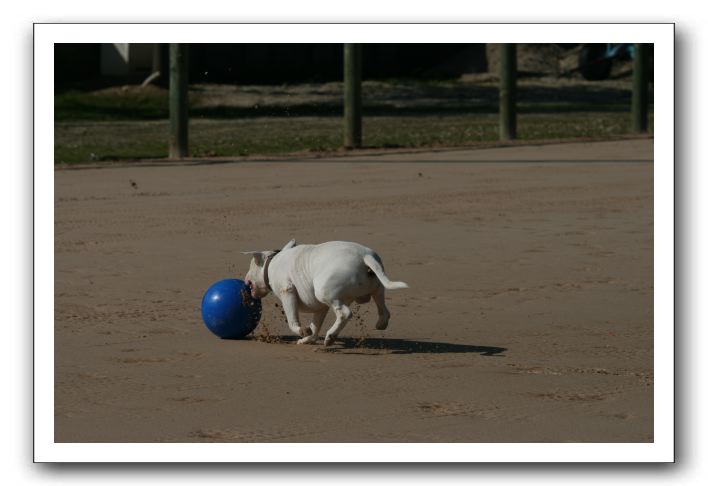 IMG_3691