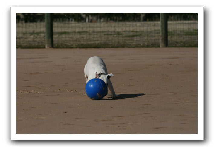 IMG_3702