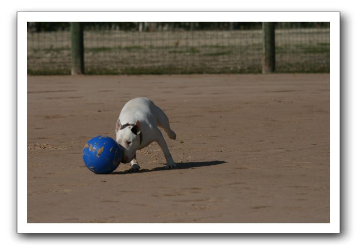 IMG_3703