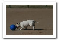 IMG_3689