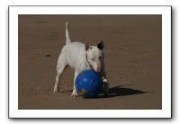 IMG_3709