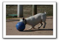 IMG_3712