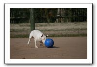 IMG_3715