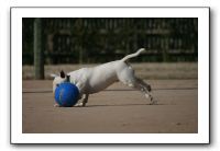 IMG_3722