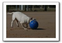 IMG_3728