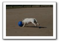 IMG_3690