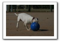 IMG_3729