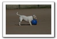 IMG_3753