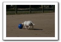 IMG_3691