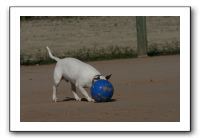 IMG_3768