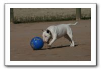 IMG_3769