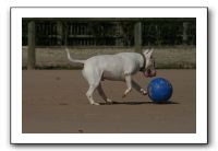 IMG_3778