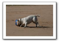 IMG_3700