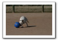 IMG_3703