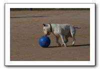 IMG_3704