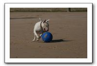 IMG_3707