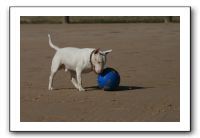 IMG_3708