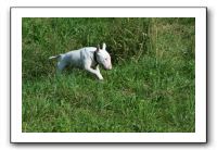 IMG_4035
