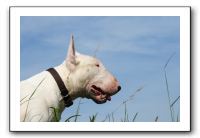 IMG_4046