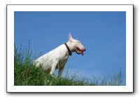 IMG_4067
