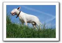 IMG_4070