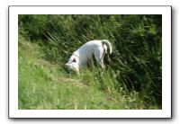 IMG_4082