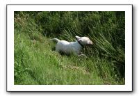 IMG_4083