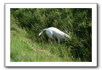 IMG_4084