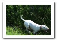 IMG_4092