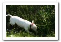 IMG_4095
