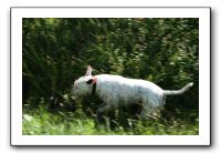 IMG_4101