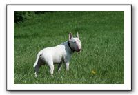 IMG_4028