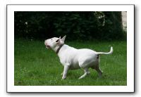 IMG_0317