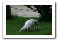 IMG_0326