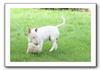 IMG_0264