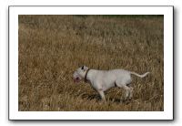 IMG_1279