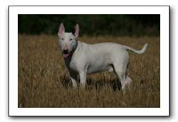 IMG_1289
