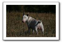 IMG_1291