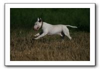 IMG_1293