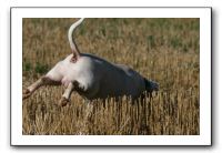 IMG_1260