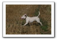 IMG_1270