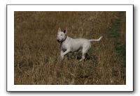 IMG_1271