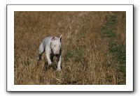 IMG_1272