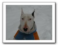 SANY0070