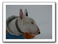 SANY0048